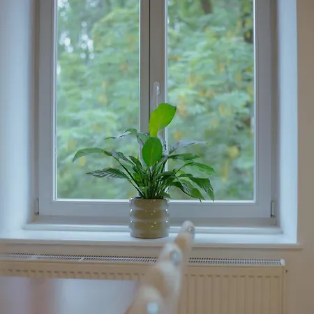 Bridge * リュブリャナ